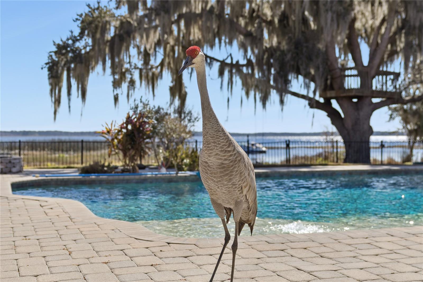 NORTH SHORE AT LAKE HART PRCL 04 - Residential