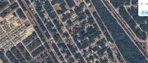 Tiny photo for 271 W Ruska Place, Citrus Springs, FL 34434 (MLS # A4684619)