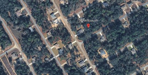 Photo of 271 W Ruska Place, Citrus Springs, FL 34434 (MLS # A4684619)