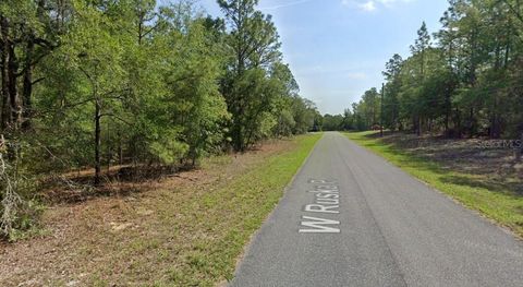 Tiny photo for 271 W Ruska Place, Citrus Springs, FL 34434 (MLS # A4684619)