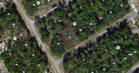 Tiny photo for 271 W Ruska Place, Citrus Springs, FL 34434 (MLS # A4684619)