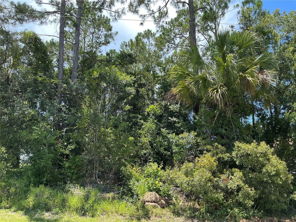 Photo of 23 Brooklyn Lane, Palm Coast, FL 32137 (MLS # OM710200)