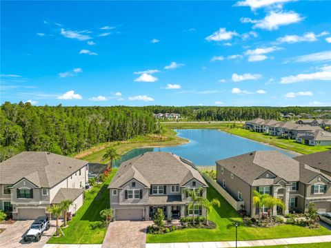 A home in TAMPA