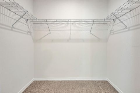 Tiny photo for 1238 Alstonia Lane, Mount Dora, FL 32757 (MLS # O6341261)