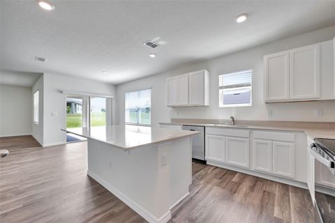 Tiny photo for 1238 Alstonia Lane, Mount Dora, FL 32757 (MLS # O6341261)