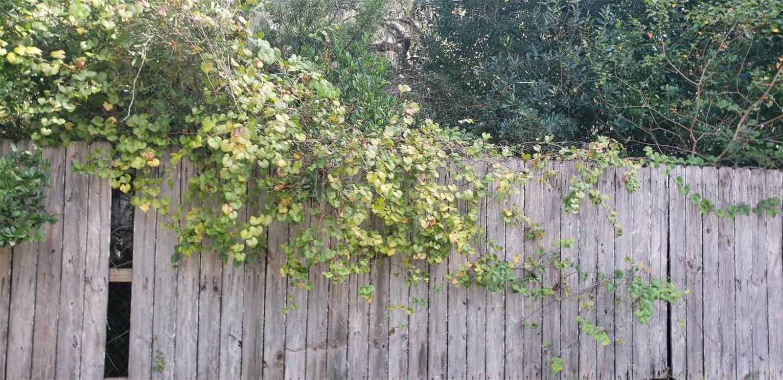 KERSHORES - Residential