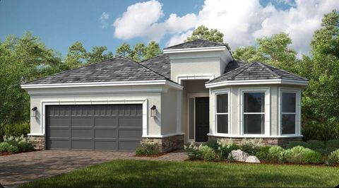 Photo of 30117 Imperati Boulevard, Wesley Chapel, FL 33543 (MLS # TB8508104)