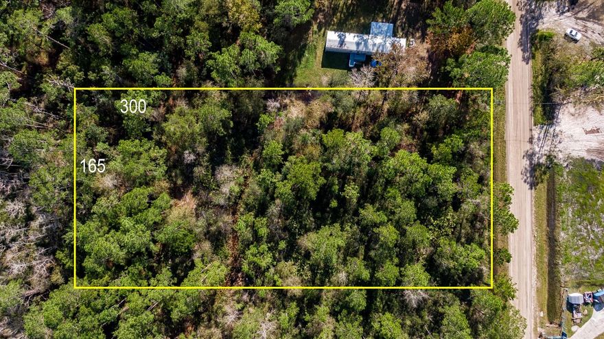 Offering endless possibilities, build your dream home on this beautiful 1.136-acres Nestled in Daytona North. This vacant lot is not only zoned for mobile homes and single-family residences but also allows for livestock. For those who love the outdoors, boating and fishing adventures just minutes away at Bull Creek Fish Camp, Dead Lake, or Crescent Lake. Drive by today!