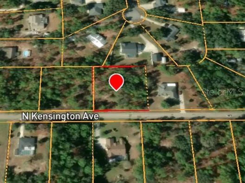Photo of 818 N Kensington Avenue, Lecanto, FL 34461 (MLS # TB8504210)