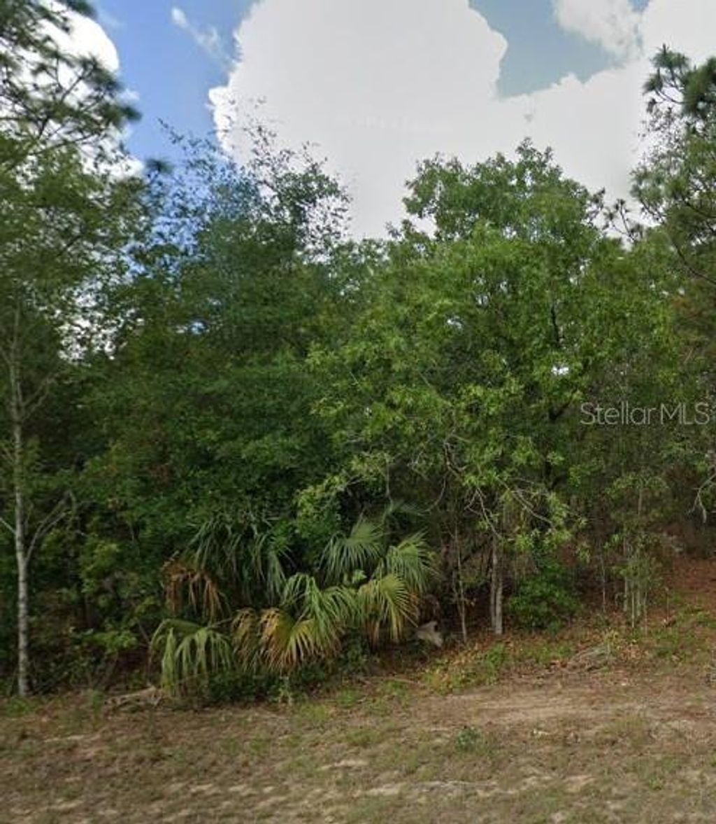 Photo of 818 N Kensington Avenue, Lecanto, FL 34461 (MLS # TB8504210)