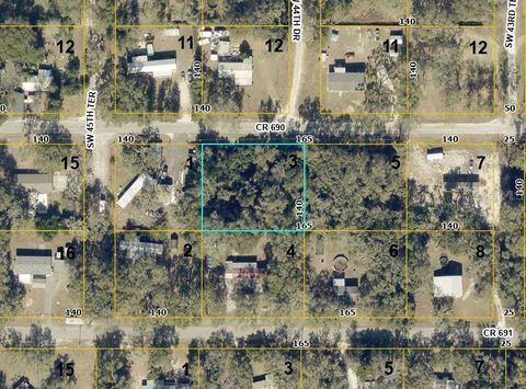 Photo of Cr 690, Webster, FL 33597 (MLS # L4961577)