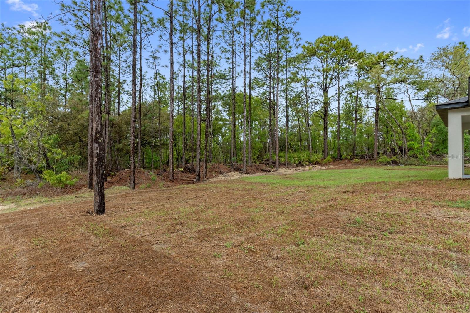 CITRUS SPRINGS UNIT 13 - Residential