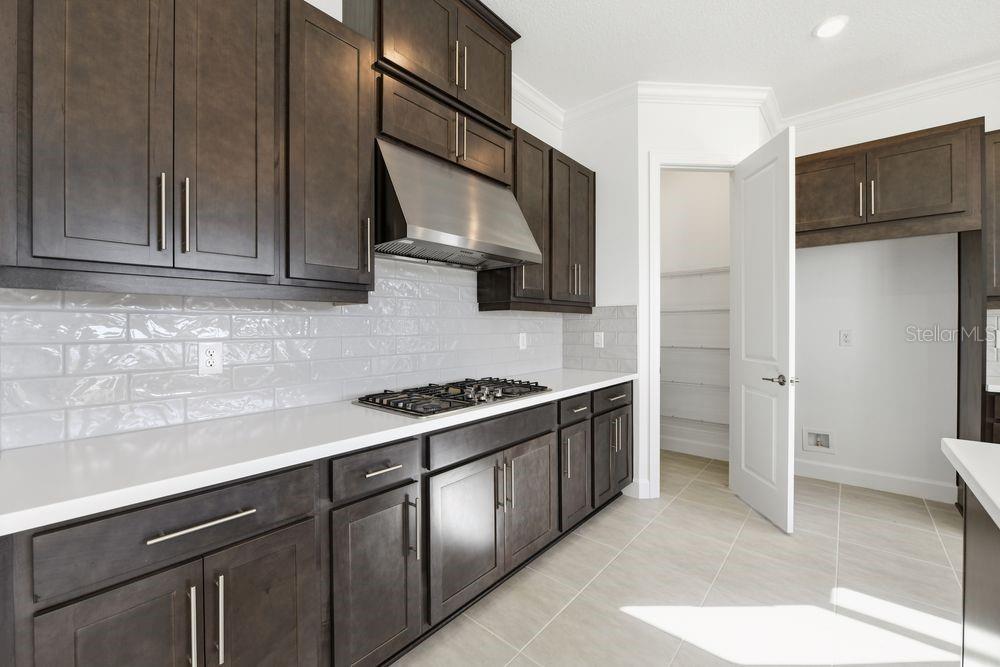 ESPLANADE AT SKYE RANCH - Residential