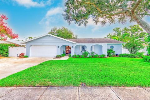 Photo of 1851 Del Robles Terrace, Clearwater, FL 33764 (MLS # TB8443697)