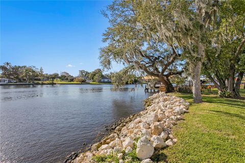 2904 N SHOREVIEW PLACE TAMPA FL 33602