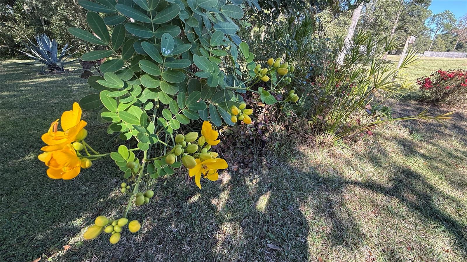 GREEN RDG ACRES - Residential