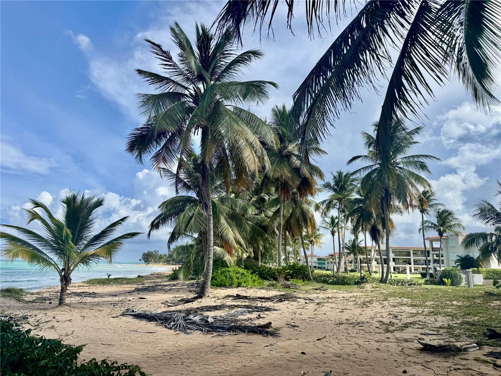 URB. OCEAN FOREST - Residential