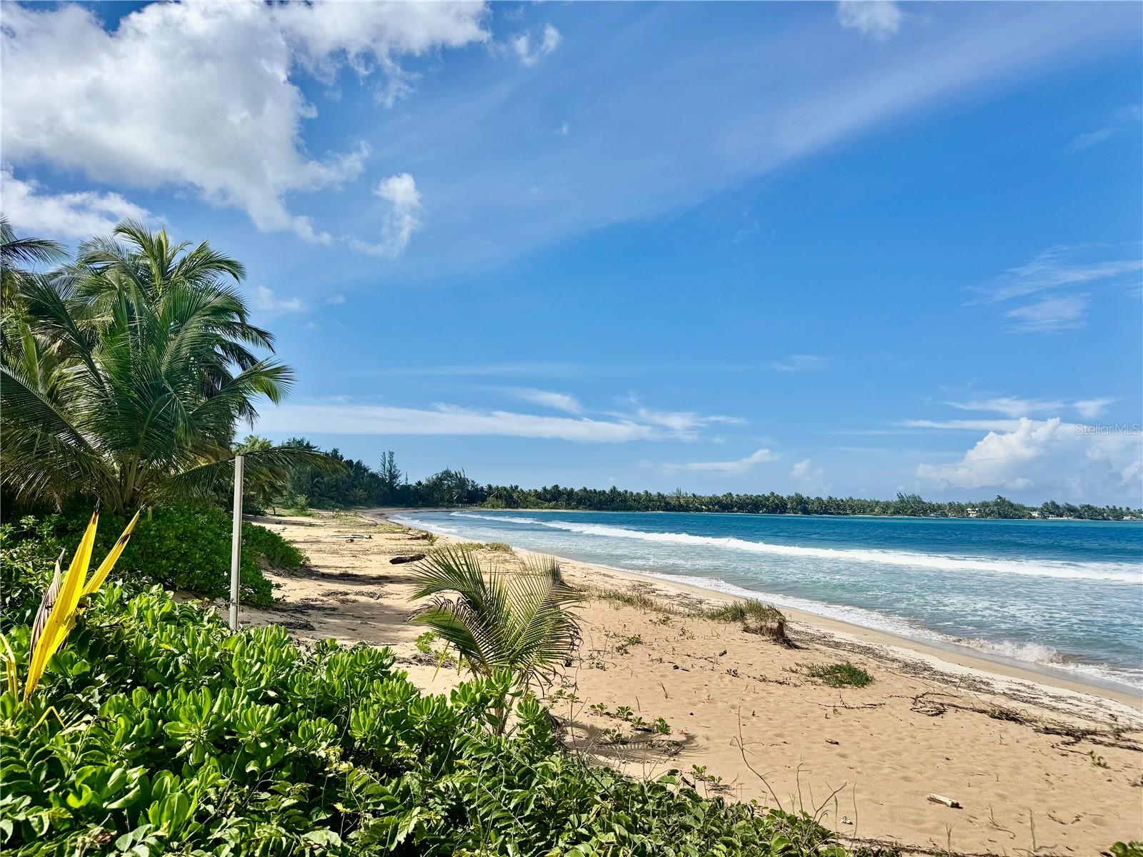 URB. OCEAN FOREST - Residential