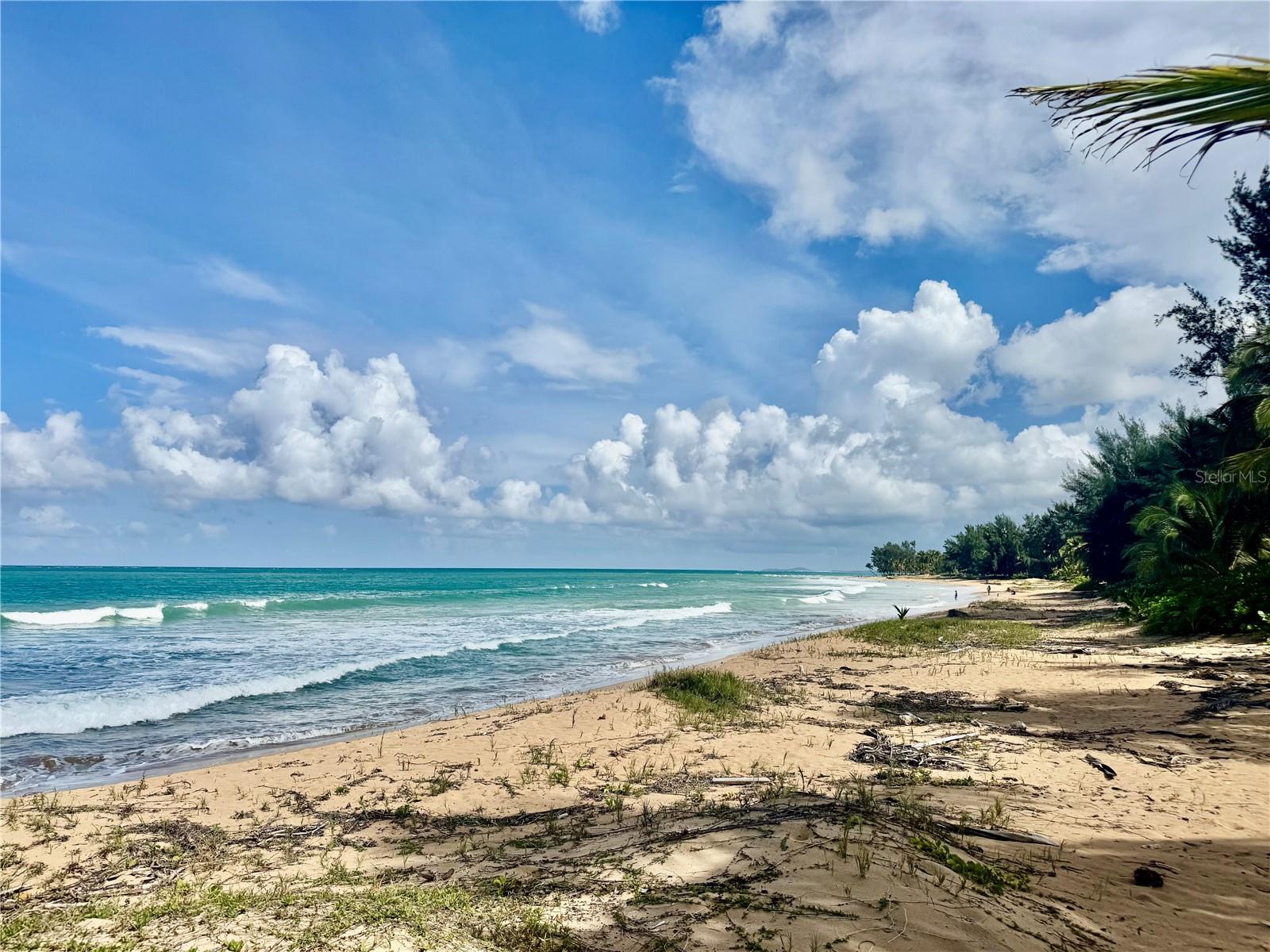 URB. OCEAN FOREST - Residential