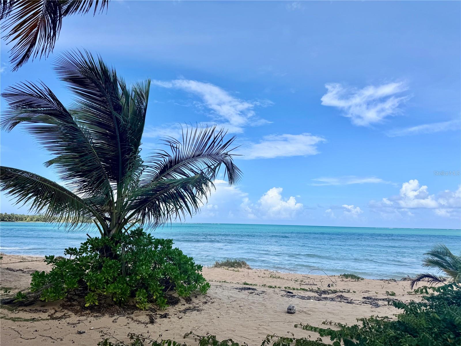 URB. OCEAN FOREST - Residential