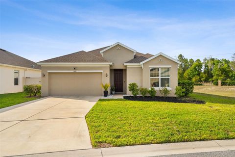 Photo of 13471 Newport Shores Drive, Hudson, FL 34669 (MLS # TB8494075)