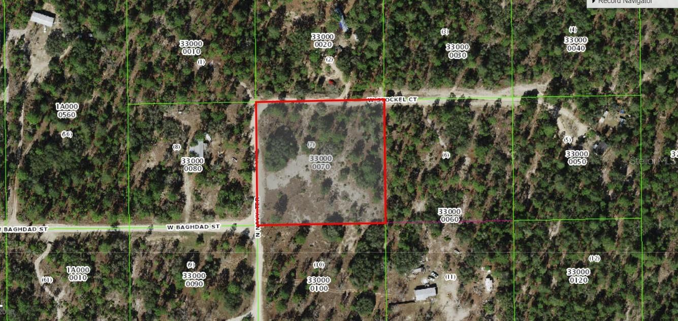 Build Your Dream Home on 2.65 Acres of Peace & Privacy! Escape the hustle and bustle and embrace the tranquility of 2.65 acres of high and dry land, perfectly positioned for your dream home. Nestled in a quiet and serene setting, this beautiful property offers the ultimate privacy, creating a peaceful retreat where you can truly relax and enjoy life at your own pace. According to county records, the property has previously had electric, septic, and a well. Surrounded by nature, yet conveniently located near Dunnellon, Crystal River, and Ocala, you’ll have easy access to shopping, dining, and outdoor adventures—all while savoring the charm of country living. Whether you envision a cozy farmhouse, a modern estate, or simply a private getaway, this versatile land is your blank canvas.
Looking for more space? The adjoining 2.65-acre lot is also available, giving you the opportunity to own a combined 5.3 acres of pure potential. Don’t miss out on this rare opportunity to create the lifestyle you’ve always wanted. Buy one or both!!!