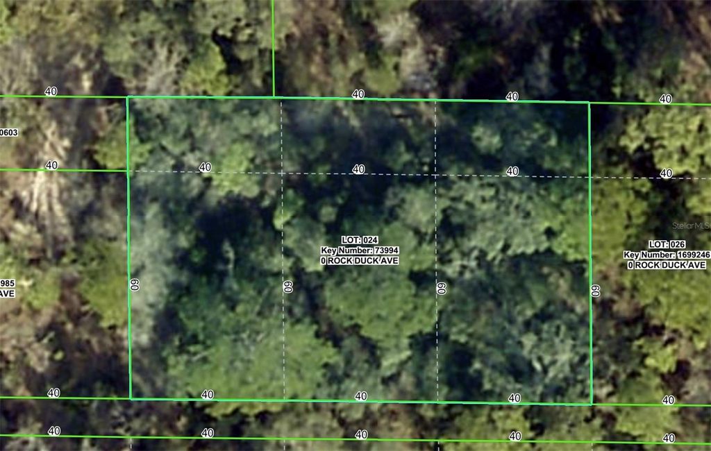 Photo of Rock Duck Avenue, Brooksville, FL 34614 (MLS # W7879473)