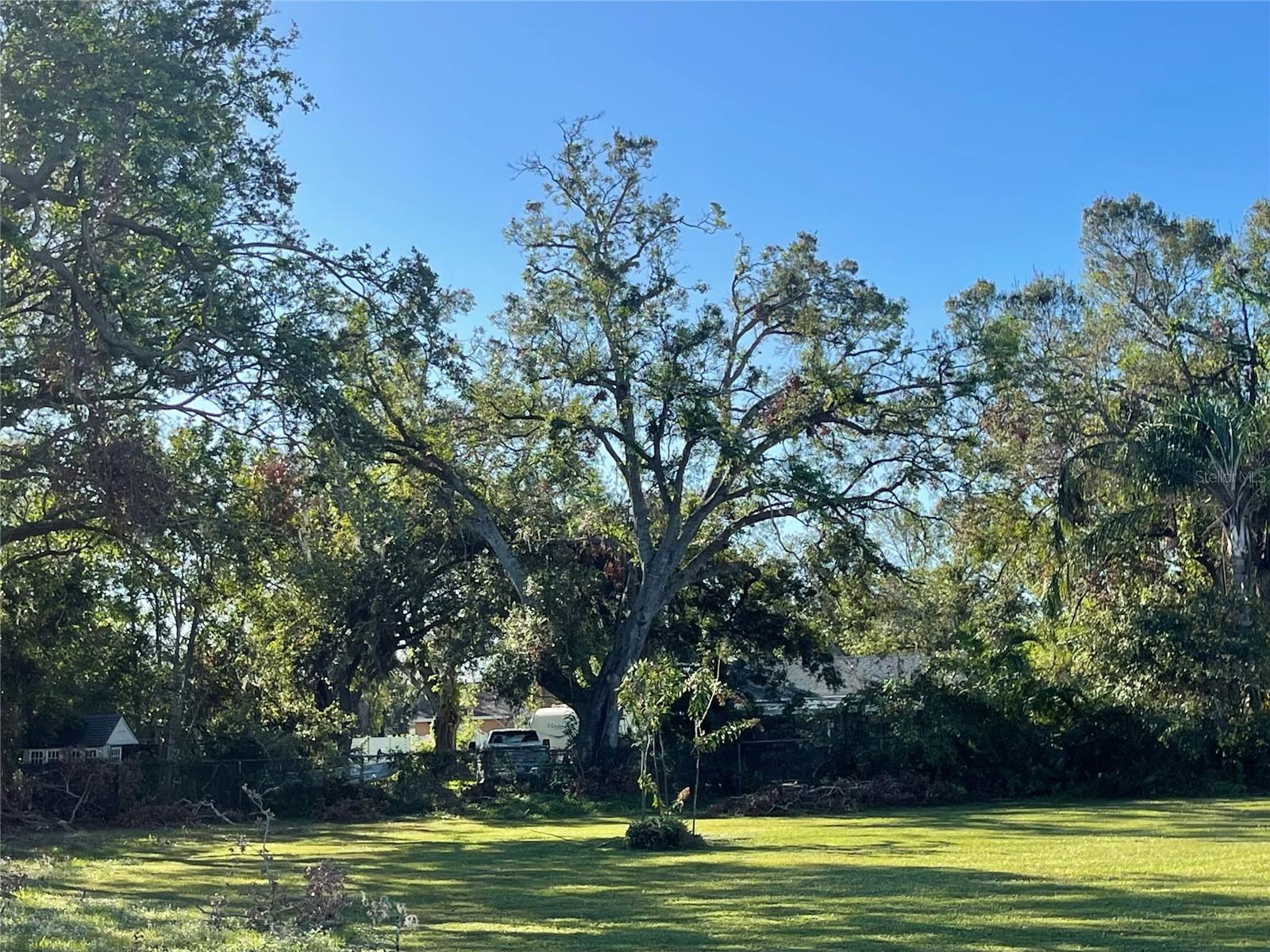 Buildable home site for one unit housing - have buyer confirm with the Sarasota County Building Department. Site approximate
99' x 167' with mature oak trees out of foundation of a house. This site is priced below other lots for its' size and location. Any questions, call the listing agent for more information. The adjacent blue house to the west is available for the buyer of subject lot to have an option to
purchase the home upon the death of the owner who is elderly. Call for more details.