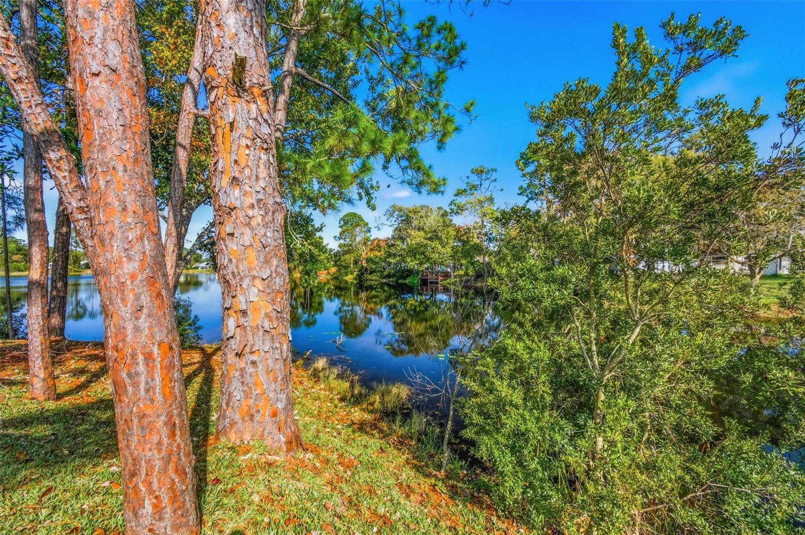 KINGS COLONY - Residential