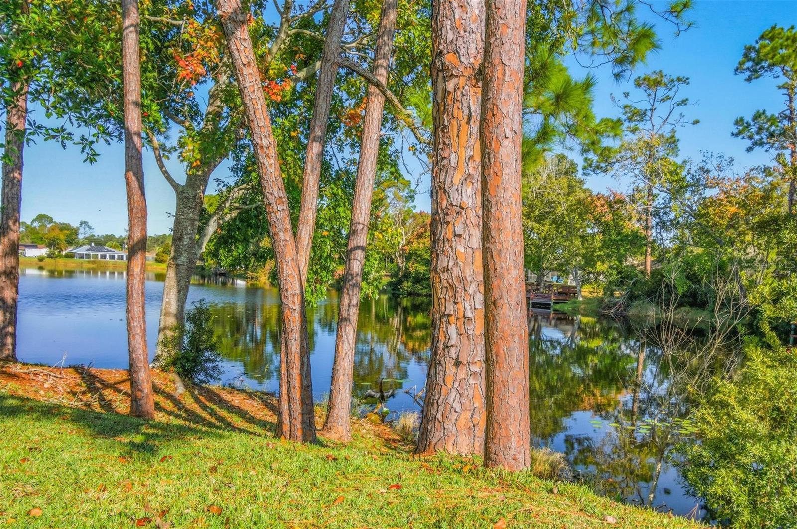 KINGS COLONY - Residential