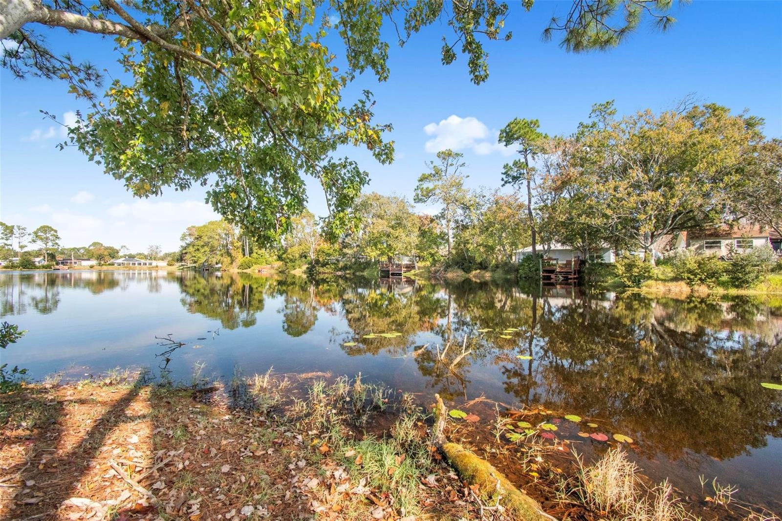 KINGS COLONY - Residential