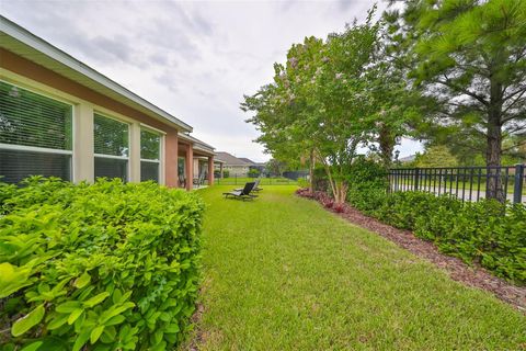 A home in APOLLO BEACH