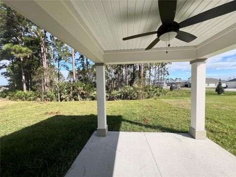 A home in FLAGLER BEACH