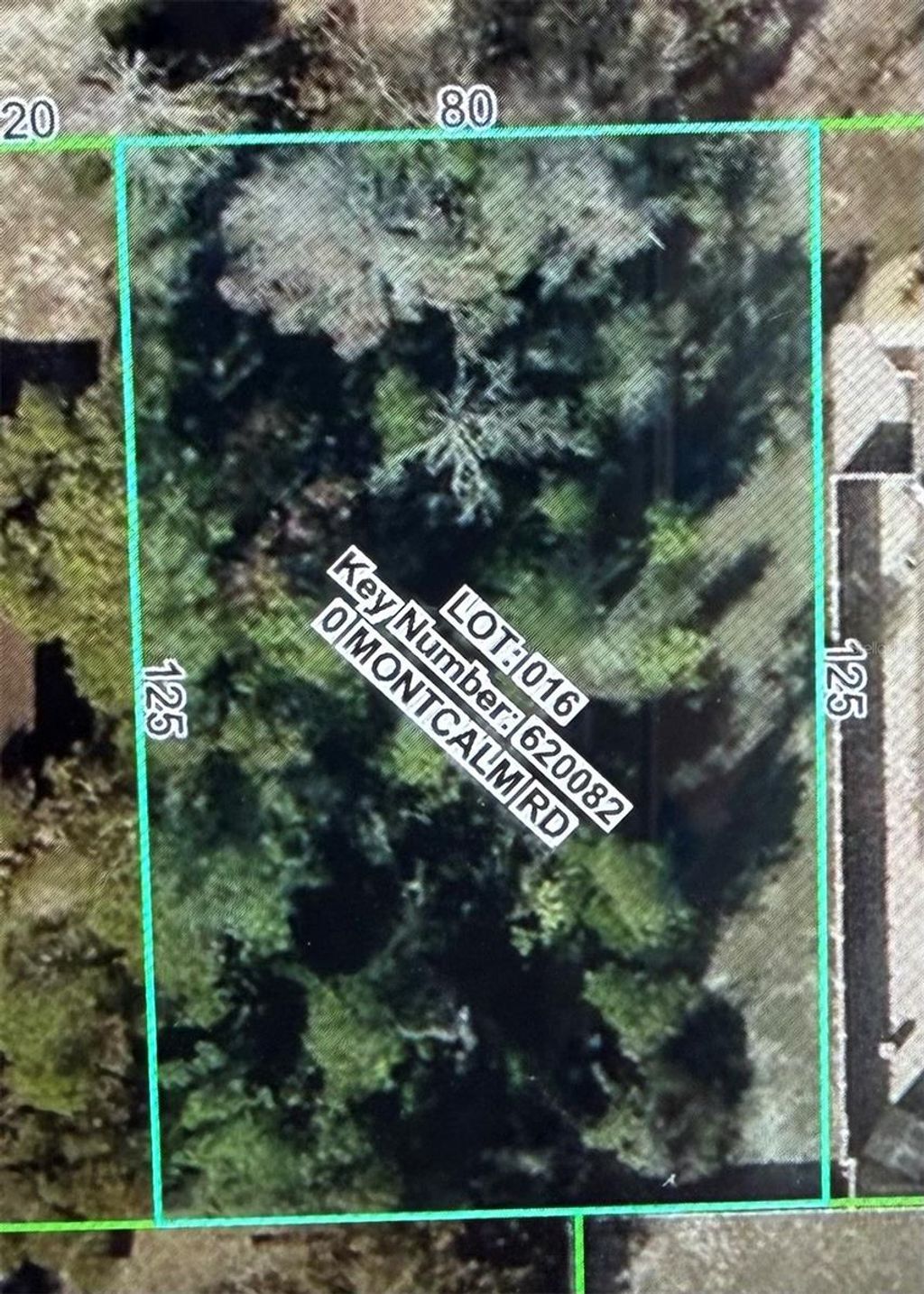 Photo of 11230 Montcalm Road, Spring Hill, FL 34608 (MLS # W7883542)