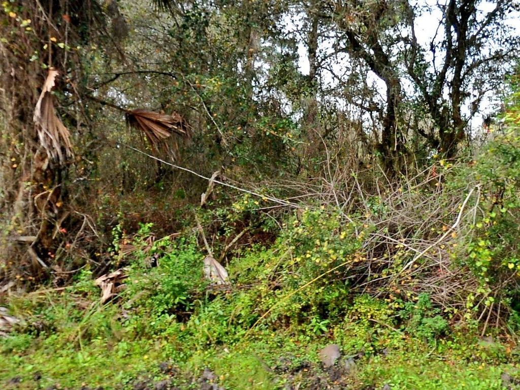 Photo of Padgette Street, North Port, FL 34291 (MLS # D6143846)