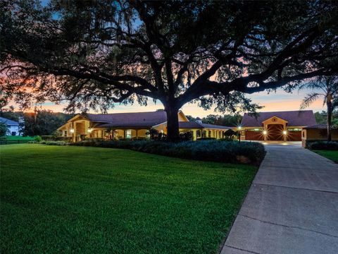 32133 WOLF BRANCH LANE SORRENTO FL 32776