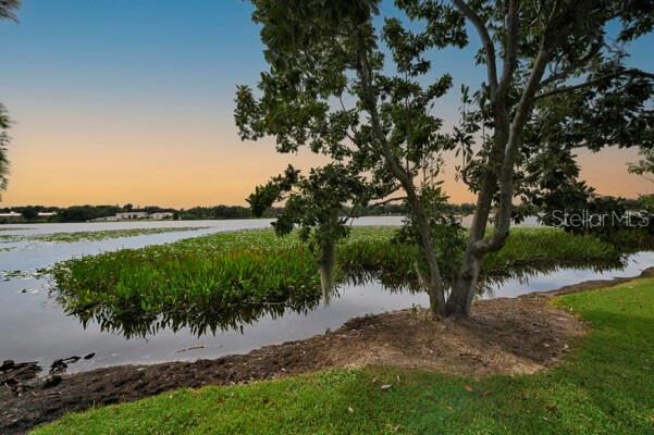 BUCKEYE HEIGHTS - Residential Lease