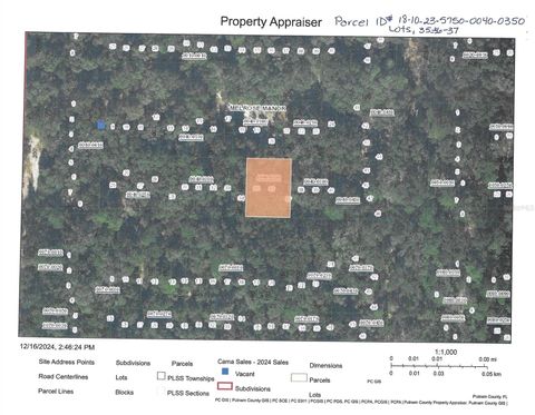 Lots 35-37 UNASSIGNED HAWTHORNE FL 32640