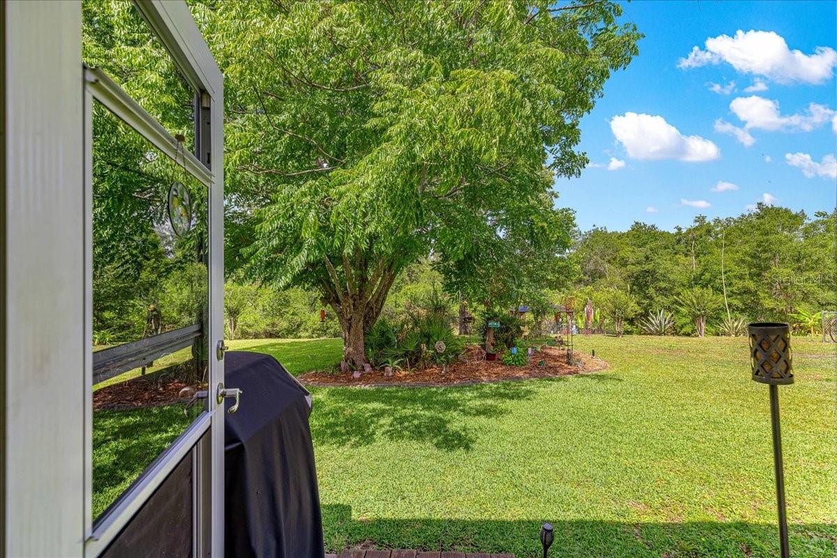 SUNRISE LAKE ESTATES - Residential