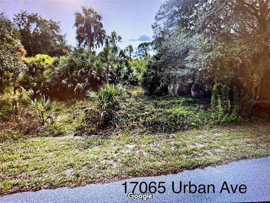 Fabulous location to build your dream home! The seller wants both this lot and the adjacent lot (MLS #C7468788) sold together. Great opportunity to have no one build on top of you! No flood zone, close to restaurants, shopping, and 15-20 minutes to the beach!