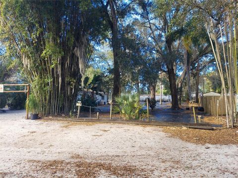 453 W DR MARTIN LUTHER KING JR BOULEVARD SEFFNER FL 33584