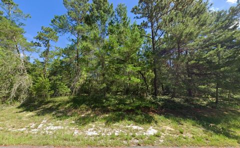 176TH STREET OCALA FL 34473