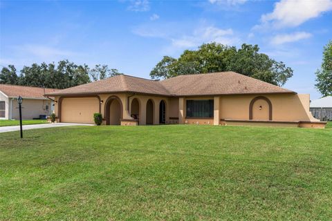Photo of 9087 Gaynor Street, Spring Hill, FL 34608 (MLS # W7878635)