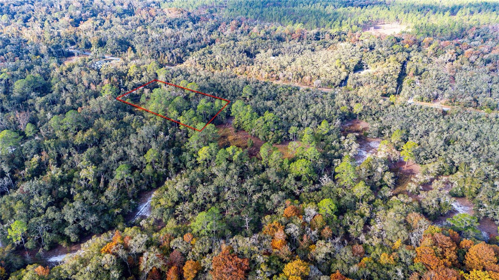 RIDGE MANOR ESTATE - Land