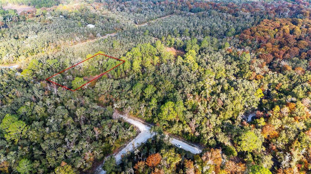 Photo of 0 Rose Bloom Lot 7 Avenue, Webster, FL 33597 (MLS # TB8450296)