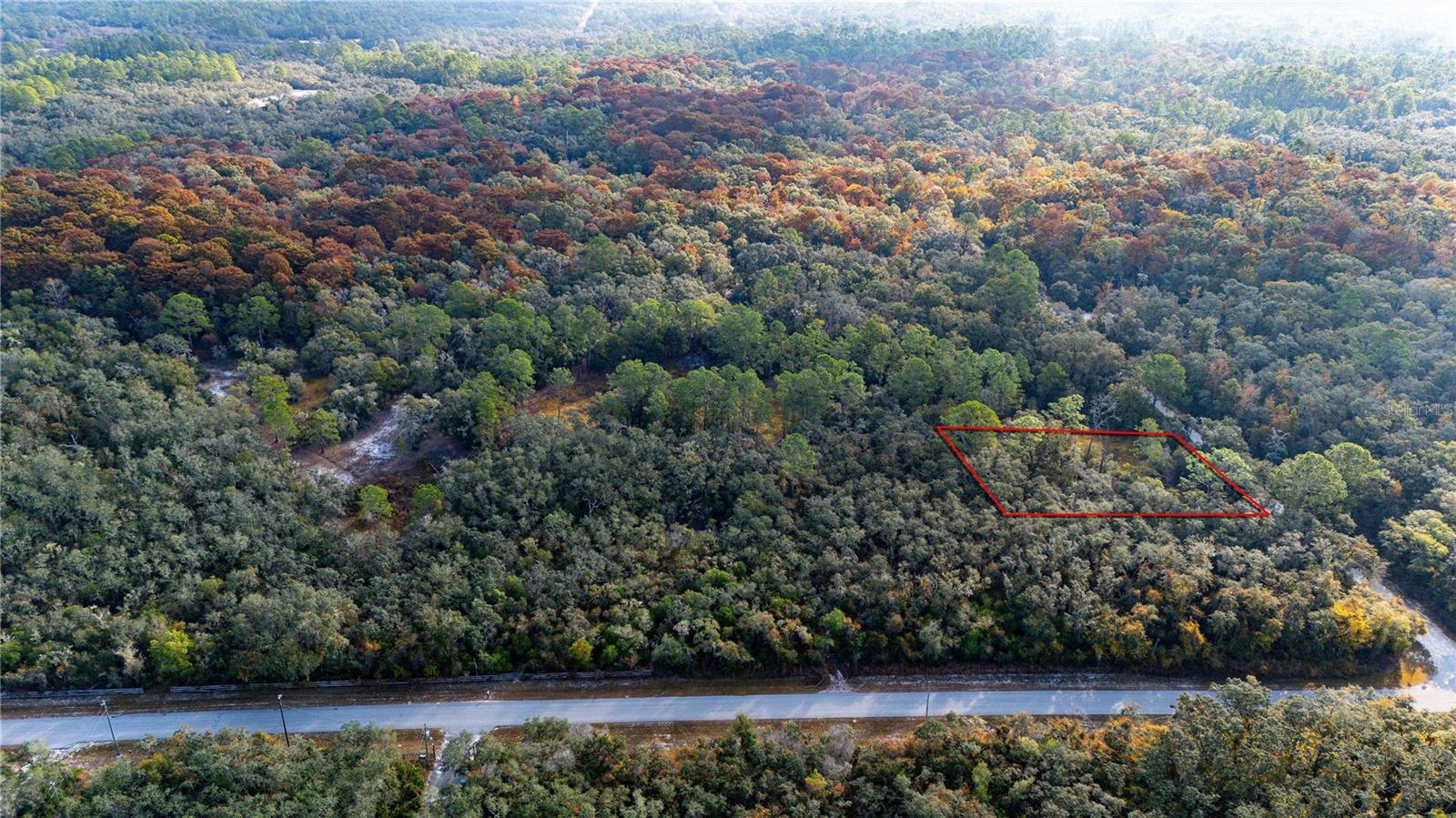 RIDGE MANOR ESTATE - Land