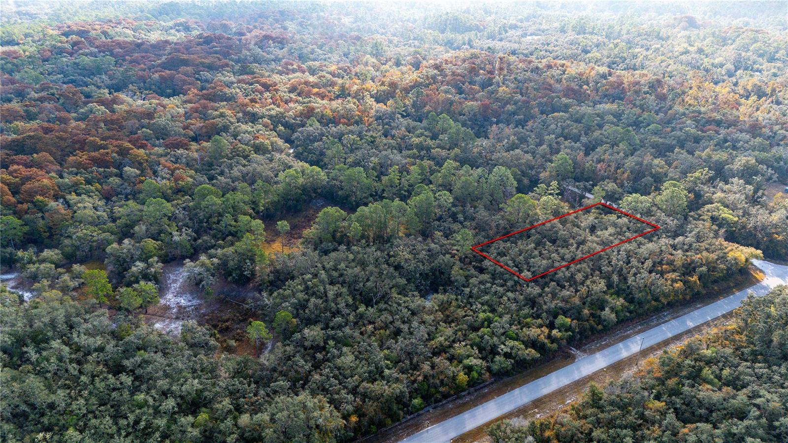 RIDGE MANOR ESTATE - Land