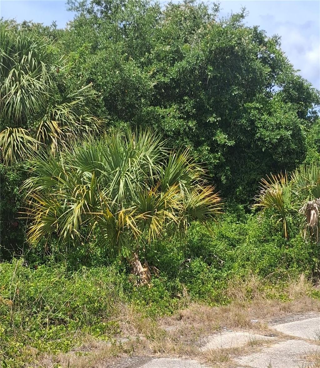 Photo of N Holloway Avenue, North Port, FL 34288 (MLS # C7520193)