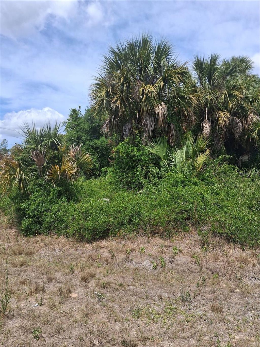 Photo of N Holloway Avenue, North Port, FL 34288 (MLS # C7520193)