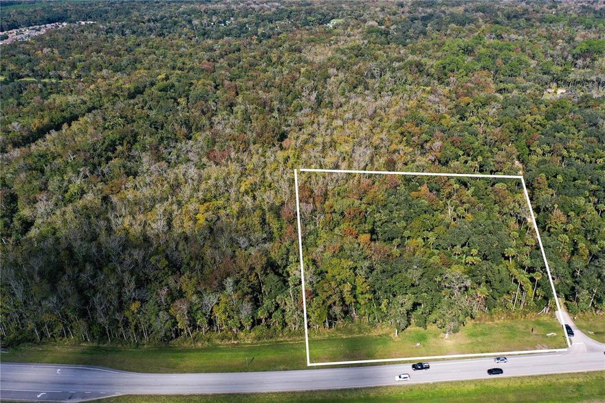 Large amount of vacant land available for sale! With 615.50 feet of highway road frontage, investment opportunities exist!  This parcel has already been annexed into the City of Edgewater. SR 442 is being developed more and more every year. Land is zoned A-3, Transistional Agriculture, with the last survey yielding 2.2+/- acres of buildable land!  Property is perfect for the entrepreneur looking to subdivide and build 2 units for future homeowners to buy! Could also be perfect for an owner looking to build a home  on 2 acres with wetlands providing a very nice privacy buffer from the rest of the world! This location is conveniently located to I-95 and the beaches. Orlando is only a 45 minute drive, Space Coast is only a 45 minute drive. All information intended to be accurate however Buyer will need to verify.